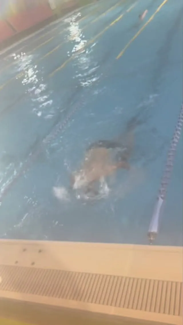 クイックターン